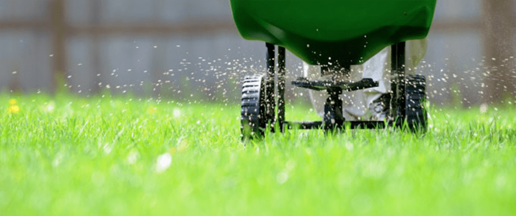 summer fertilizer