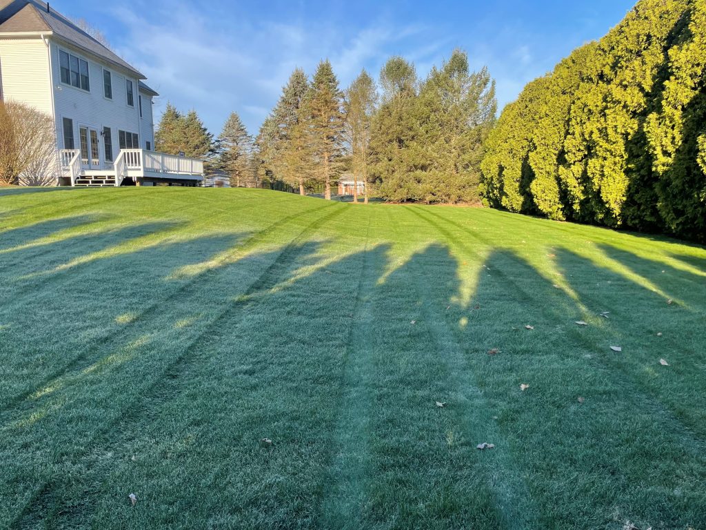 lawn care program