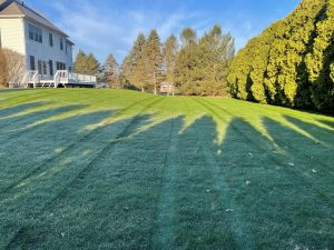 lawn care program
