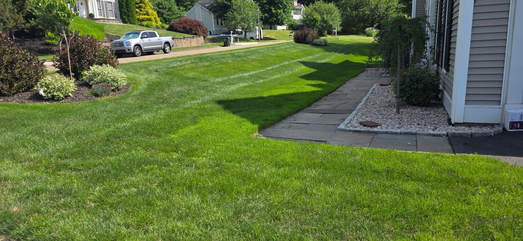 MissionGreen Lawn Care Program