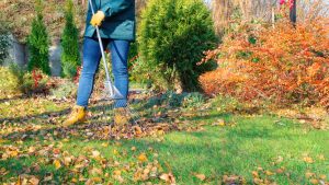 fall leaf management