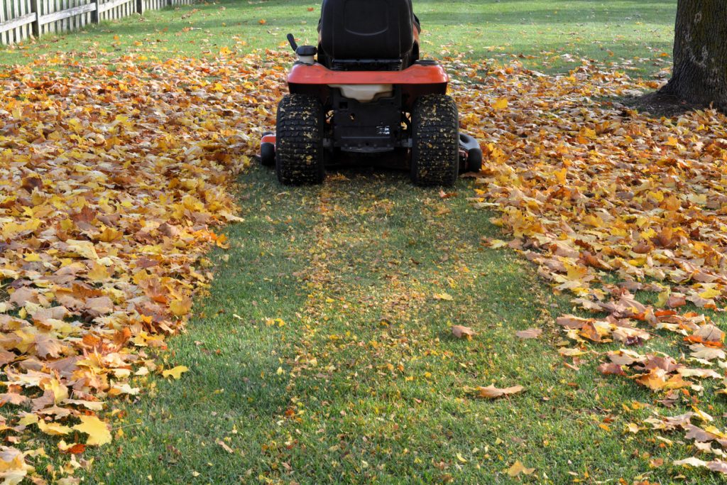 mulching leaves